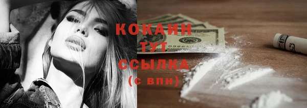 индика Осинники
