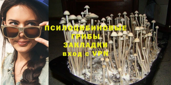 сатива Армянск