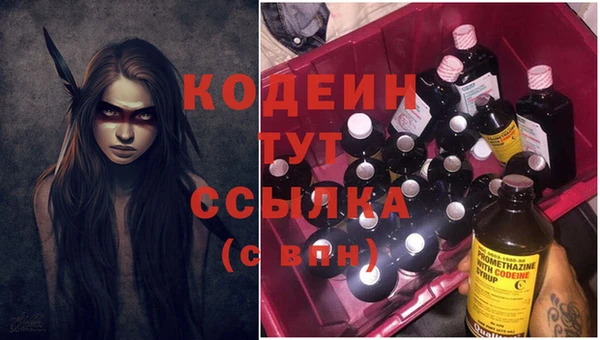 прущий лед Арсеньев
