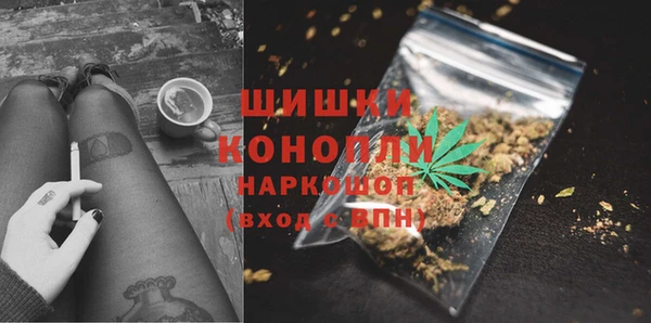 индика Осинники