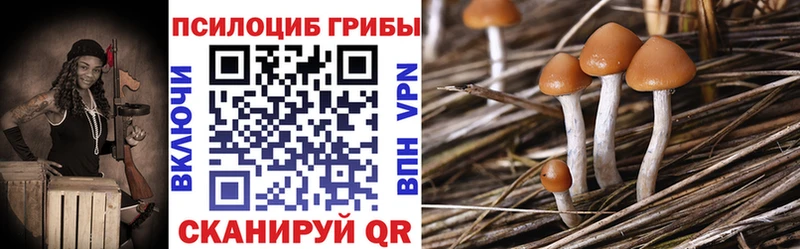 Галлюциногенные грибы Magic Shrooms  Сибай 